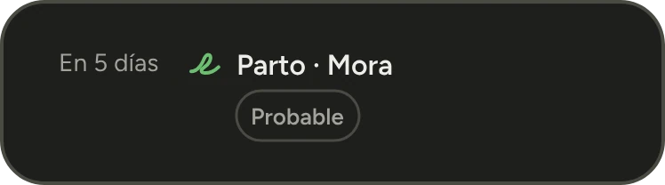 Previsión de RUMAI: parto de Mora previsto en 5 días.